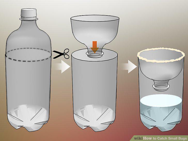 Step 9