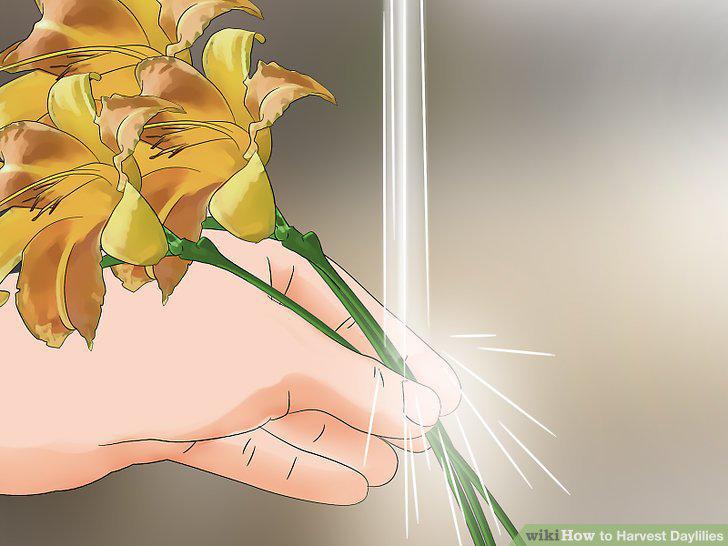 Step 12