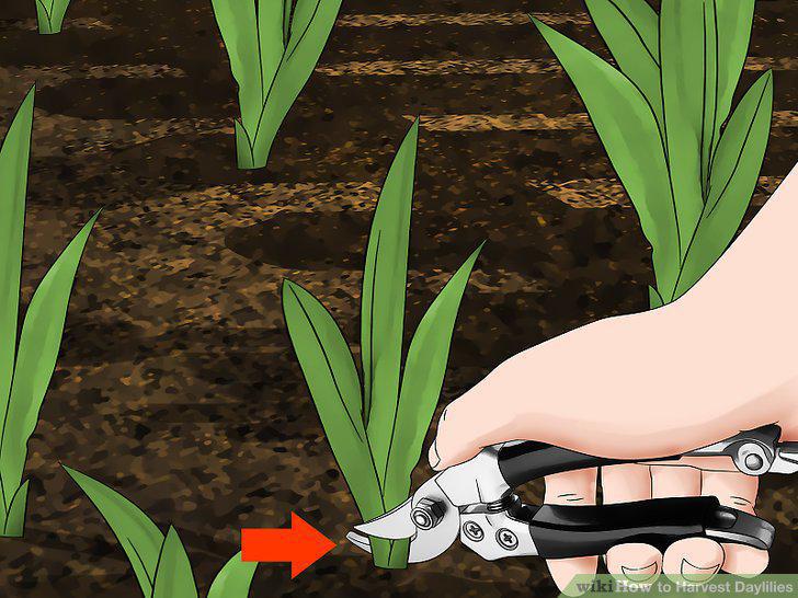 Step 3