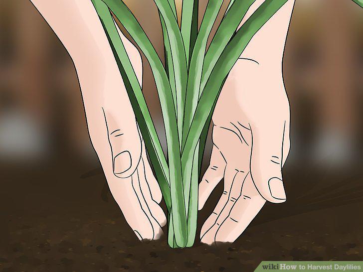Step 7