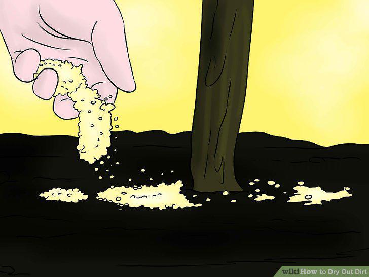 Step 13