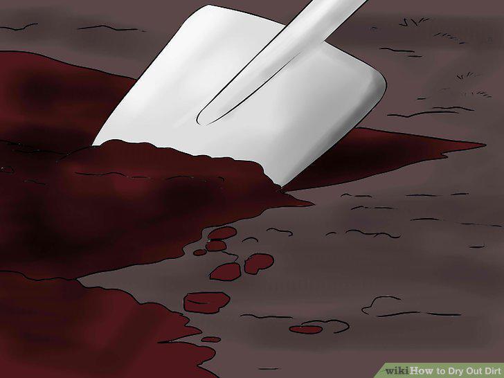 Step 15