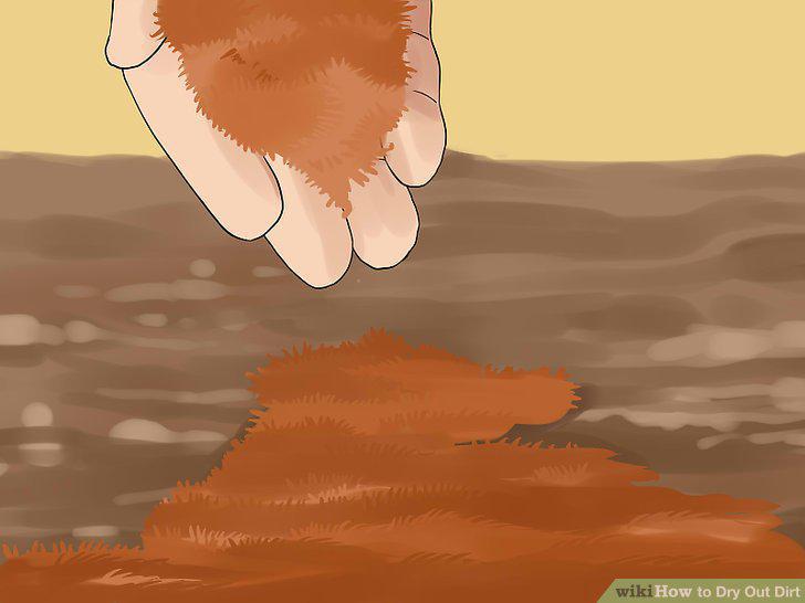 Step 9
