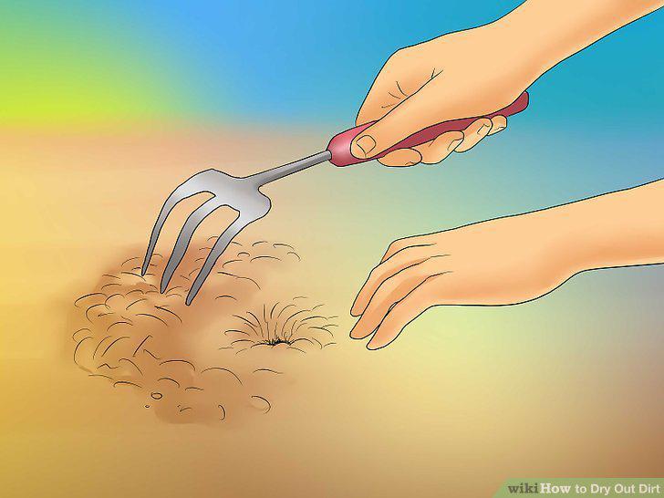 Step 10
