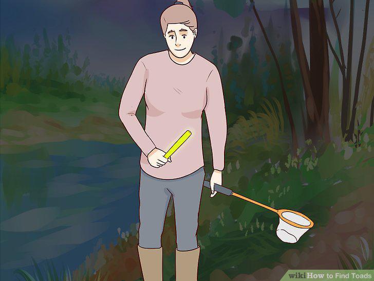 Step 12