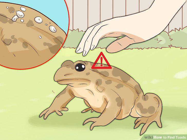 Step 13