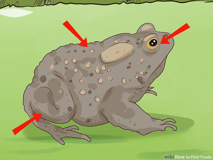 Step 14
