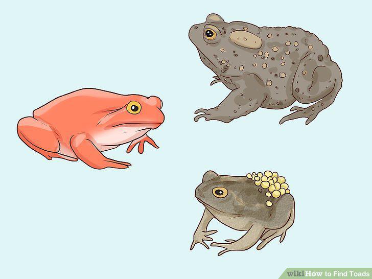 Step 15