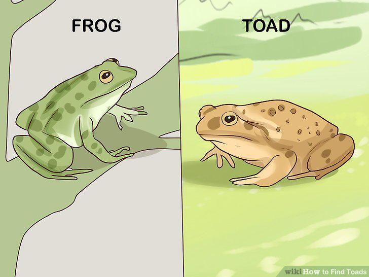 Step 16