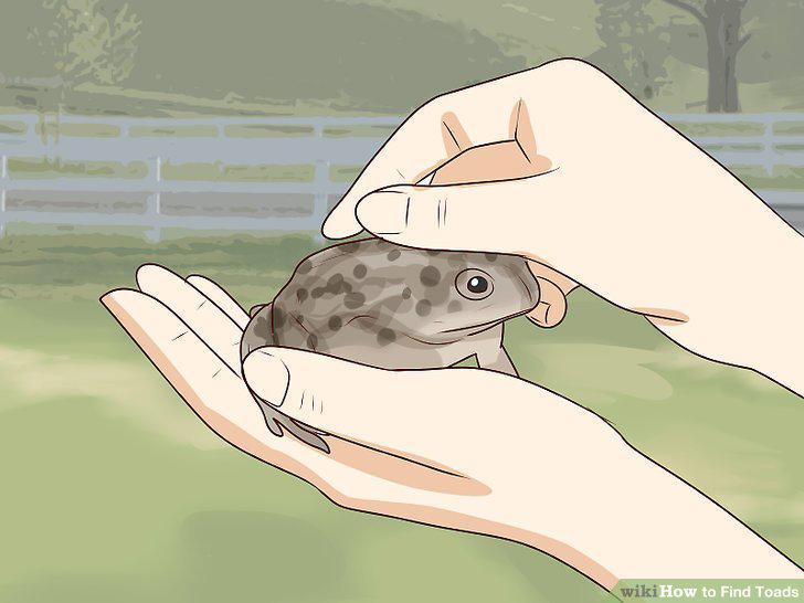 Step 7
