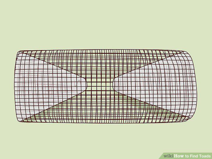 Step 9