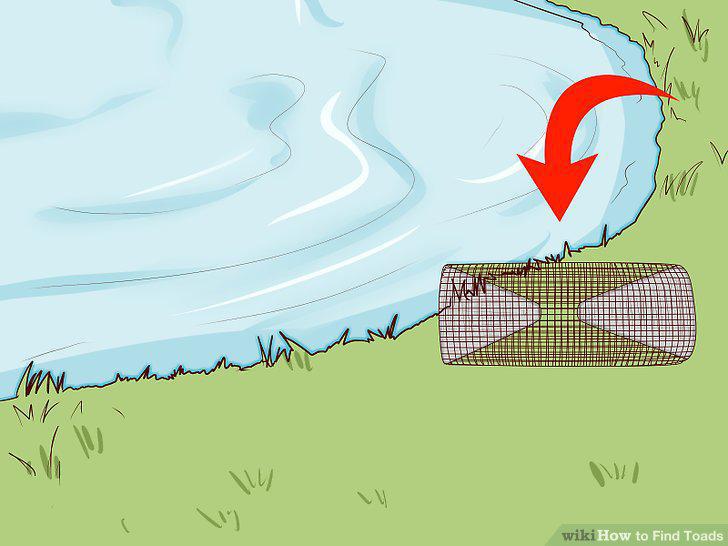 Step 10