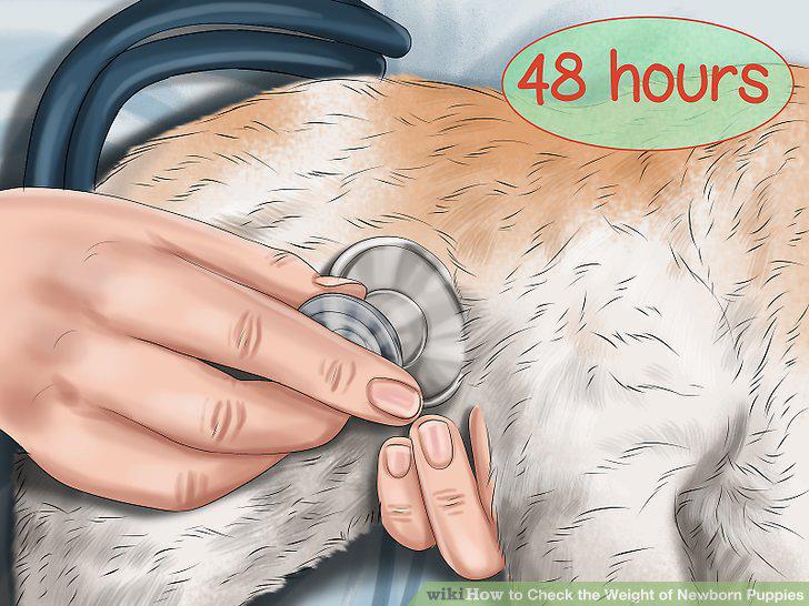 Step 12