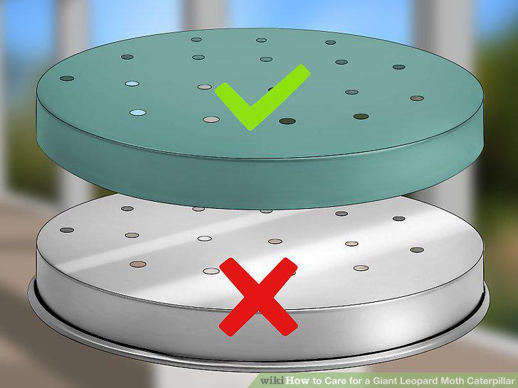 Step 2