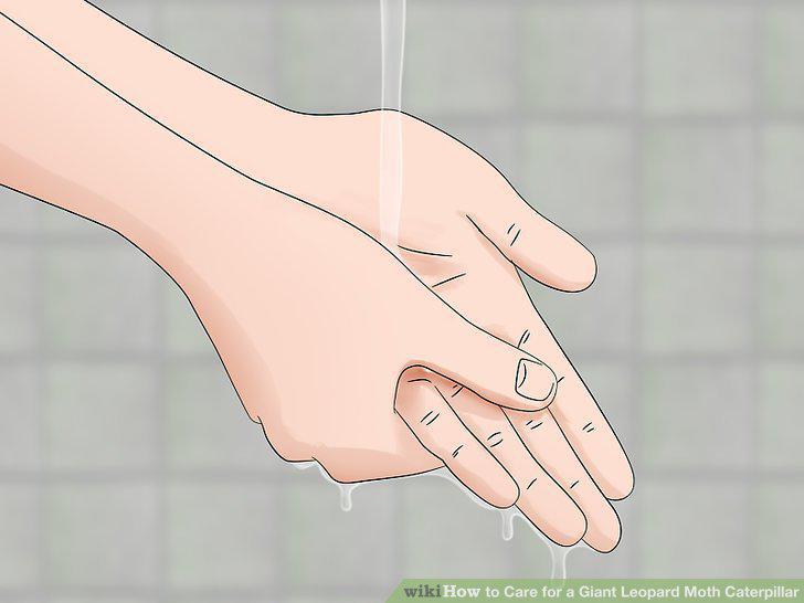 Step 12
