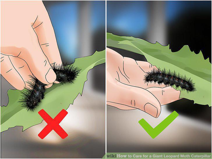 Step 14