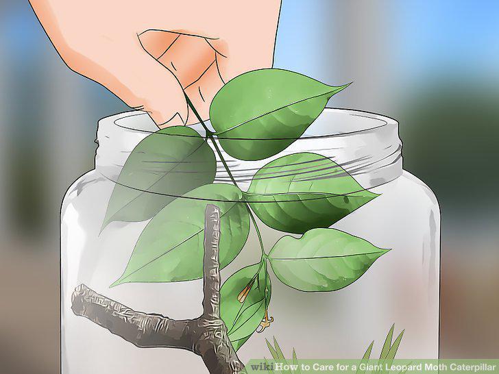 Step 16