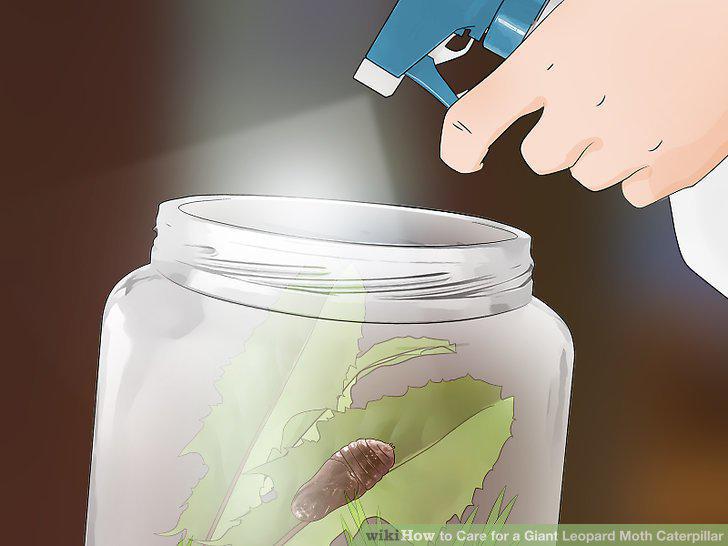 Step 18