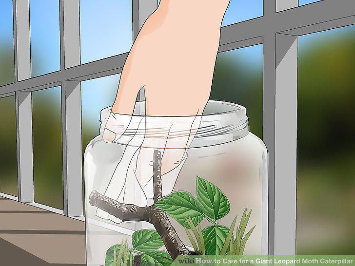Step 6