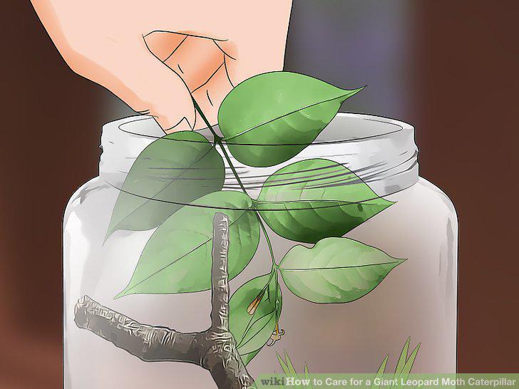 Step 10