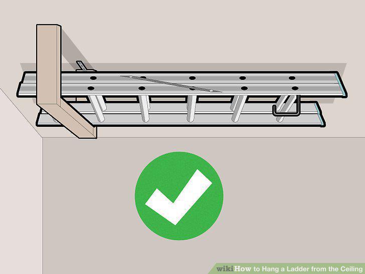 Step 12