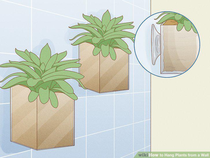 Step 12