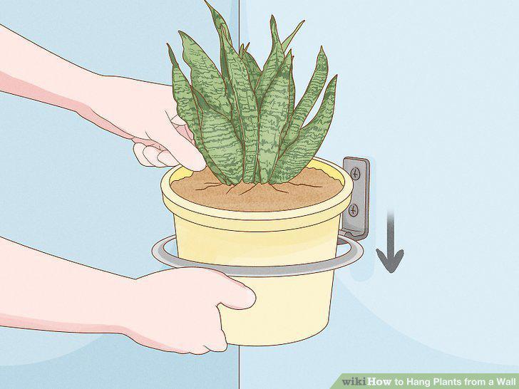 Step 13