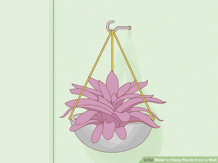 Step 9