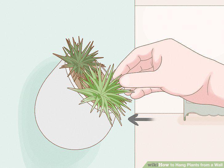 Step 10