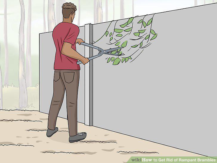Step 11