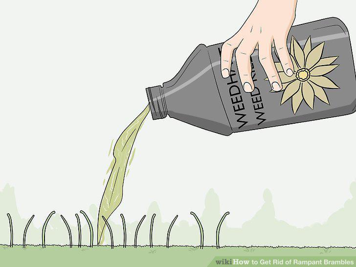 Step 5