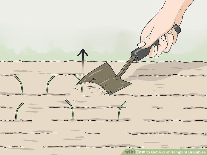 Step 8