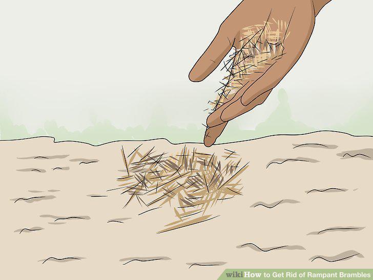 Step 10