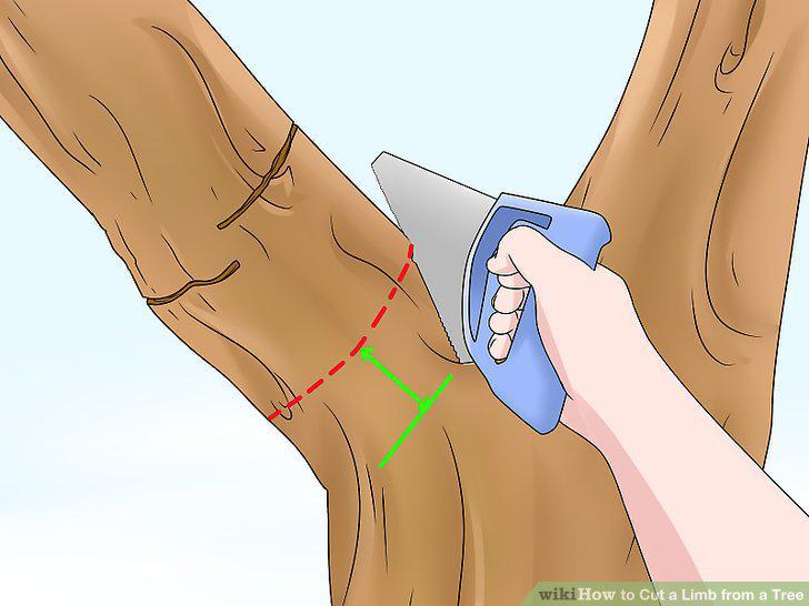 Step 5