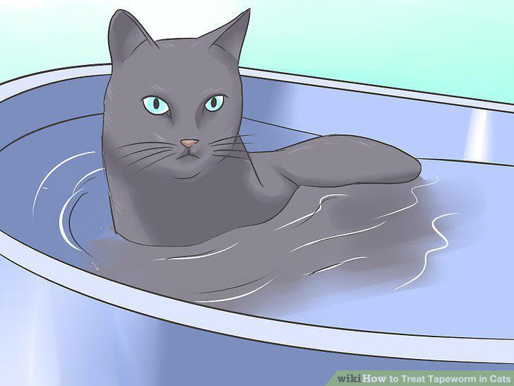 Step 11