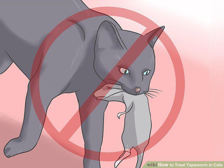 Step 10