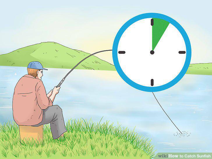 Step 11