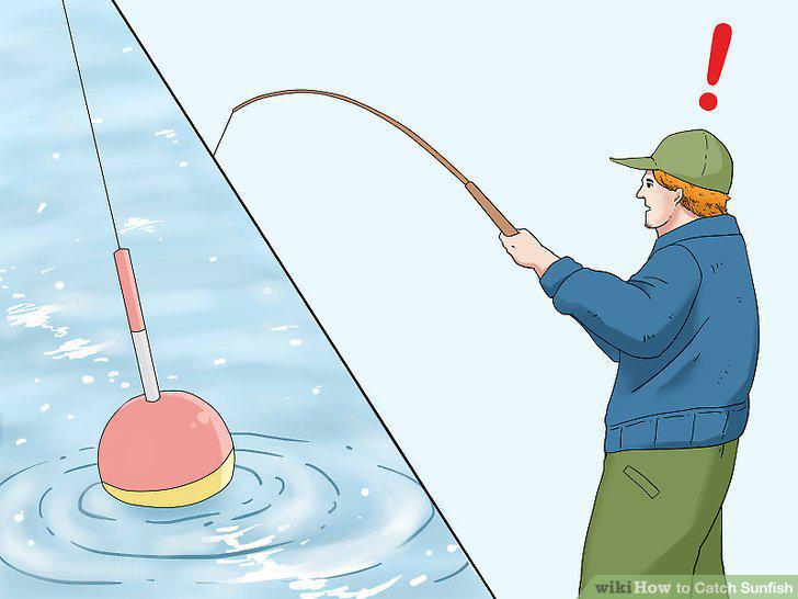 Step 12