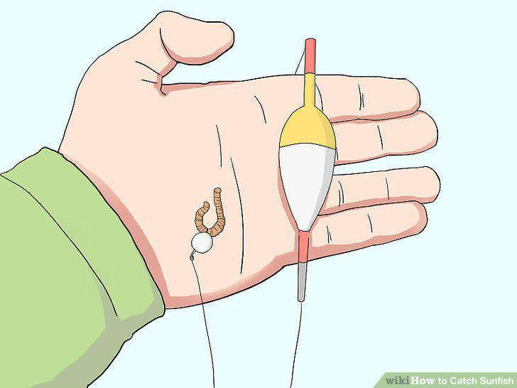 Step 8