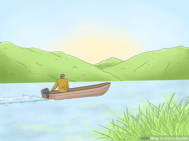 Step 10