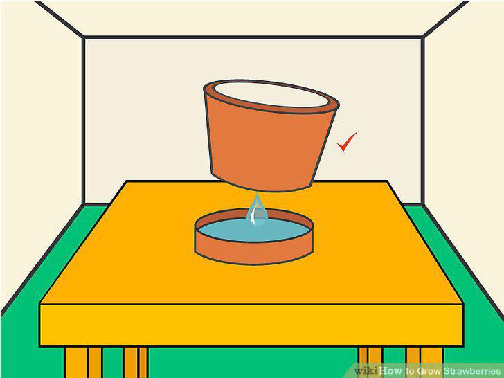 Step 11