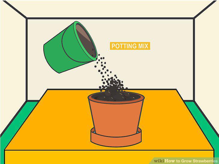 Step 13