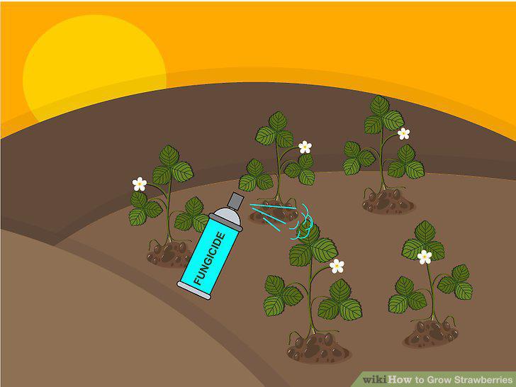 Step 21