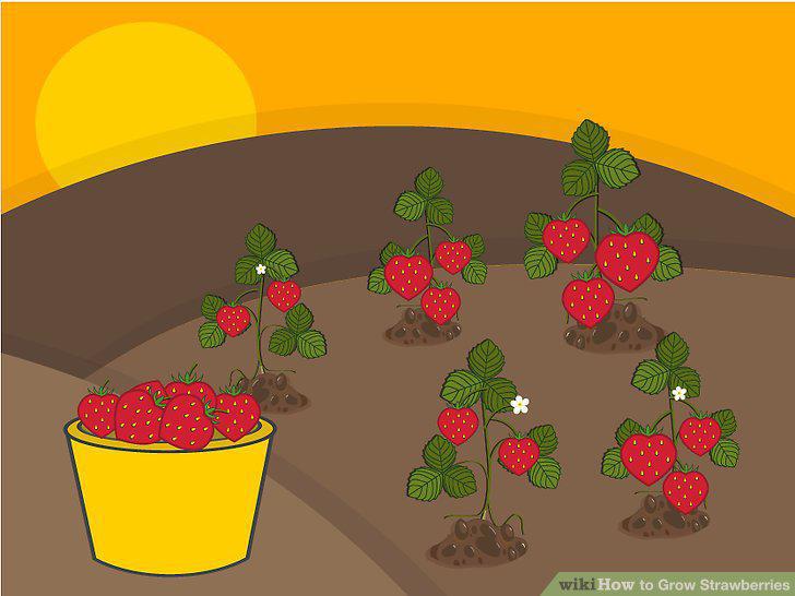 Step 22