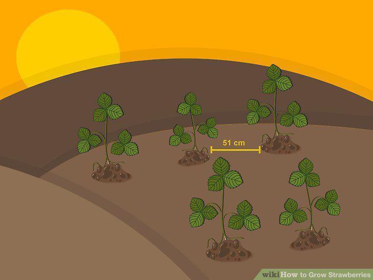 Step 10