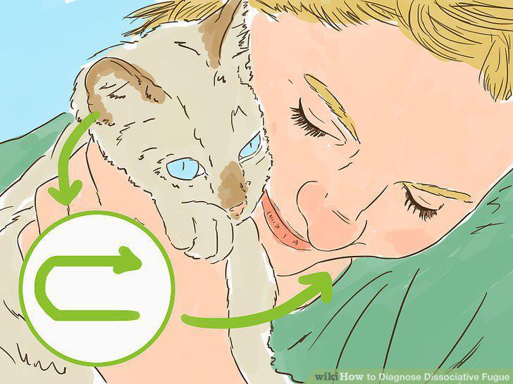 Step 7