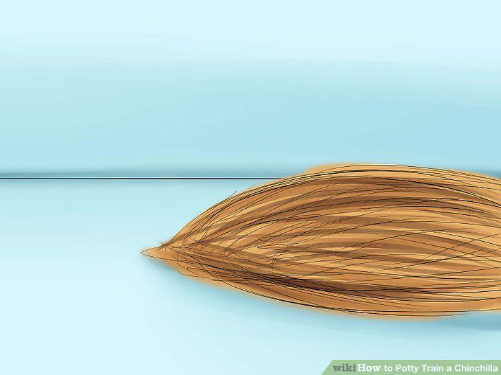 Step 5