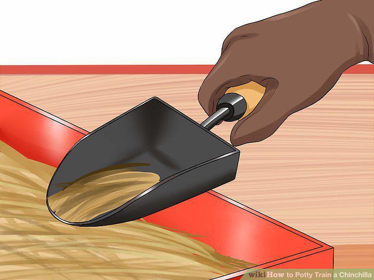 Step 9