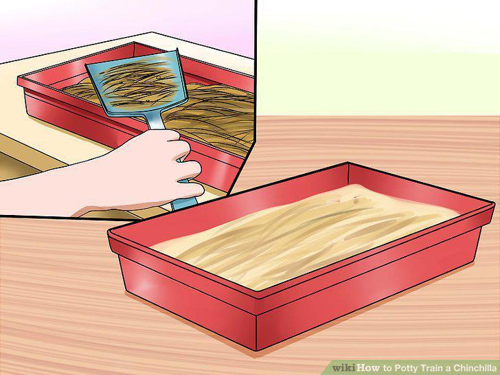 Step 10