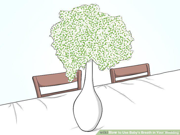 Step 7